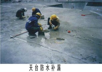 長安地毯清洗公司，長安防水補(bǔ)漏公司，長安外墻清洗公司